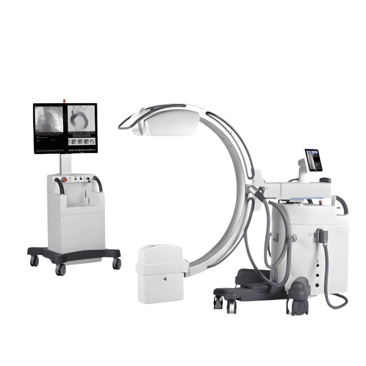 c-duga italray-carmex