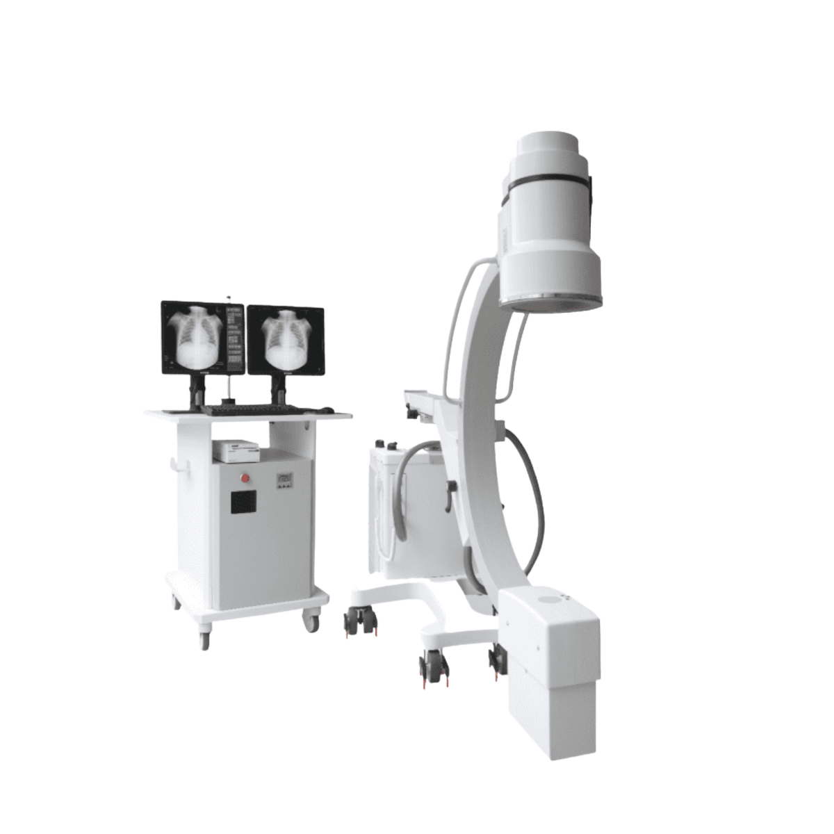 c-duha carmex italray